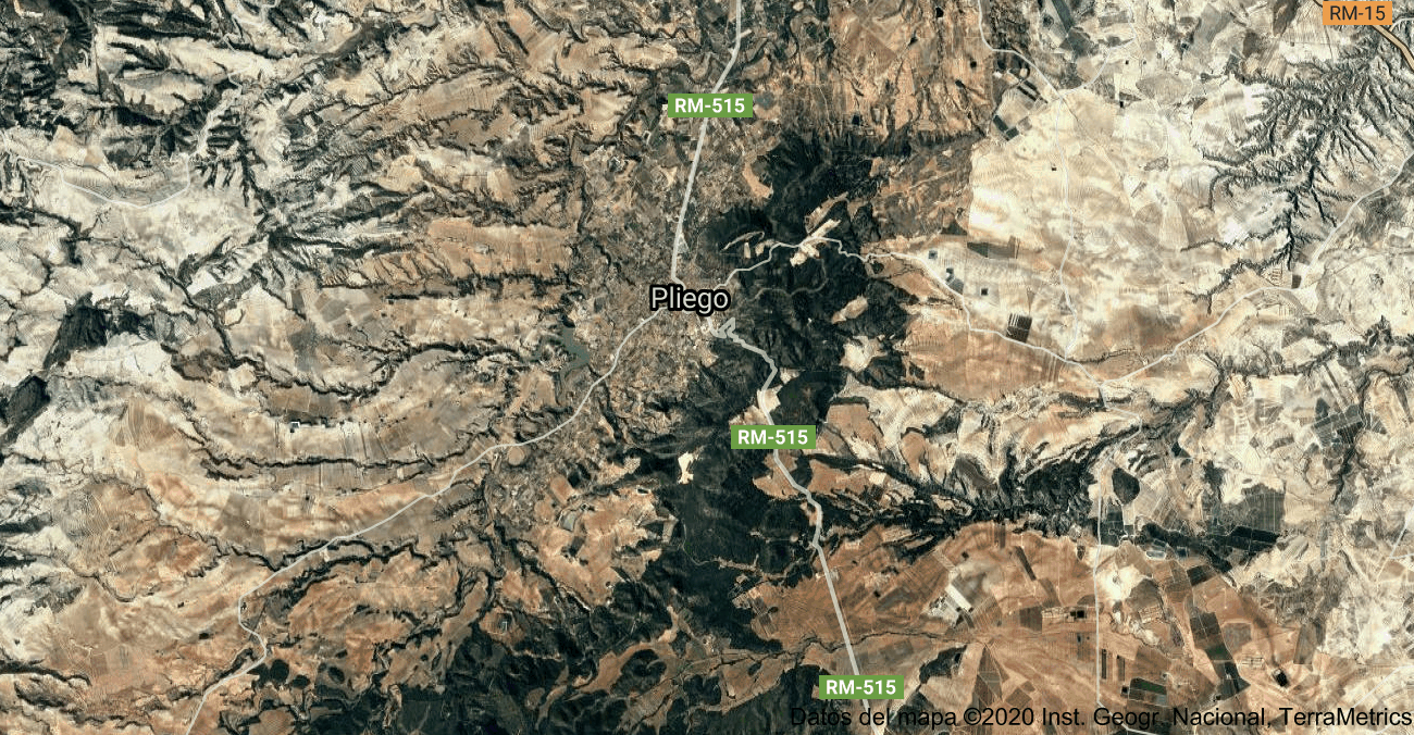 Foto satelital de Pliego