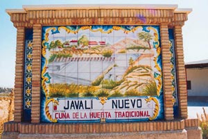 Foto preciosa de Javalí Nuevo